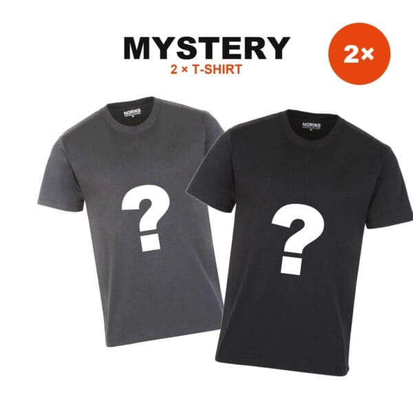 2x Mystery majica | Prejmeš 2 majici – barva je presenečenje, velikost izbereš ti