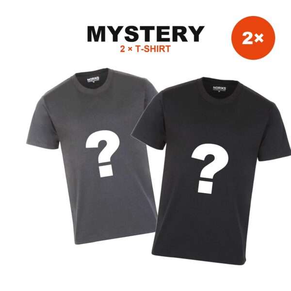 2x Mystery T-Shirt | You get 2 shirts – the colour is a surprise, you pick the size